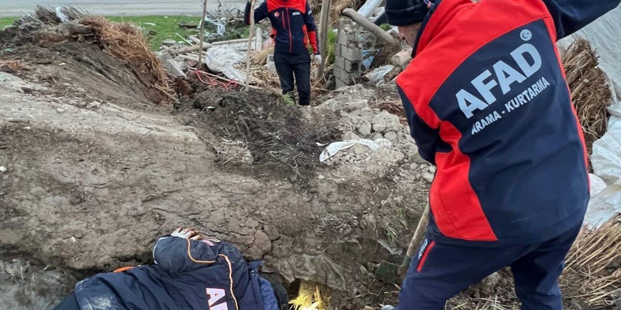 Batman’da Ahır Çöktü: 8 Yavru Köpekten 5’i Kurtarıldı