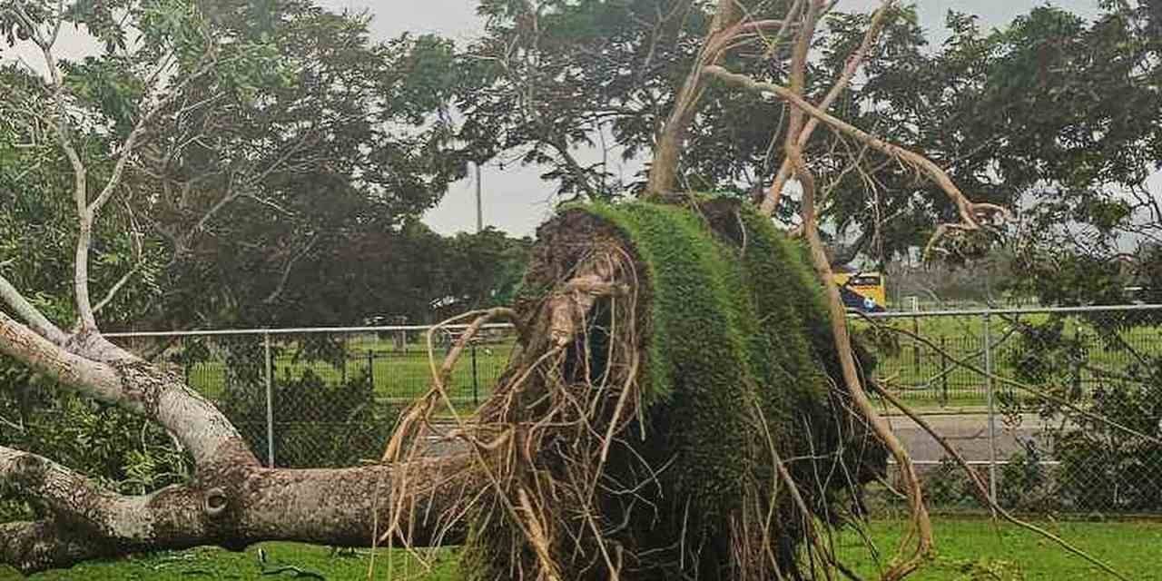 Avustralya’nın Doğusunu Fırtına Vurdu: 64 Bin Kişi Elektriksiz