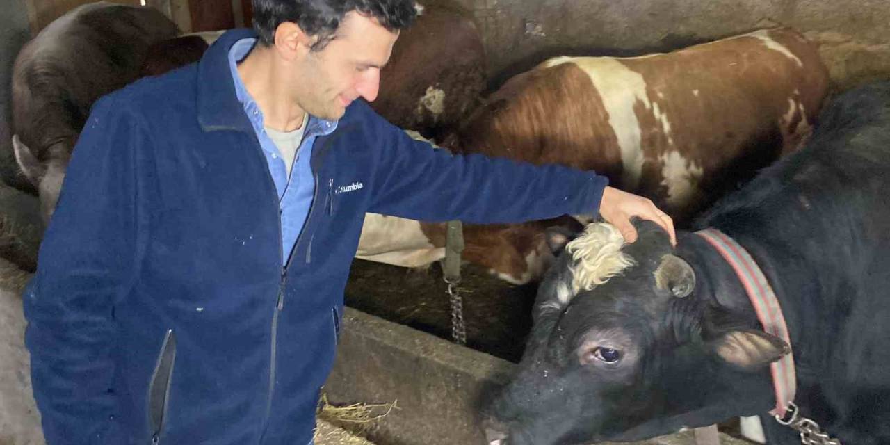 Üniversite Mezunu Genç Köye Yerleşip Besici Oldu