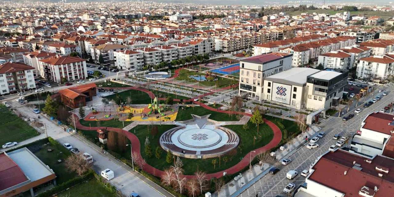 Tomruk Kafe Altıeylül’e Çok Yakışacak