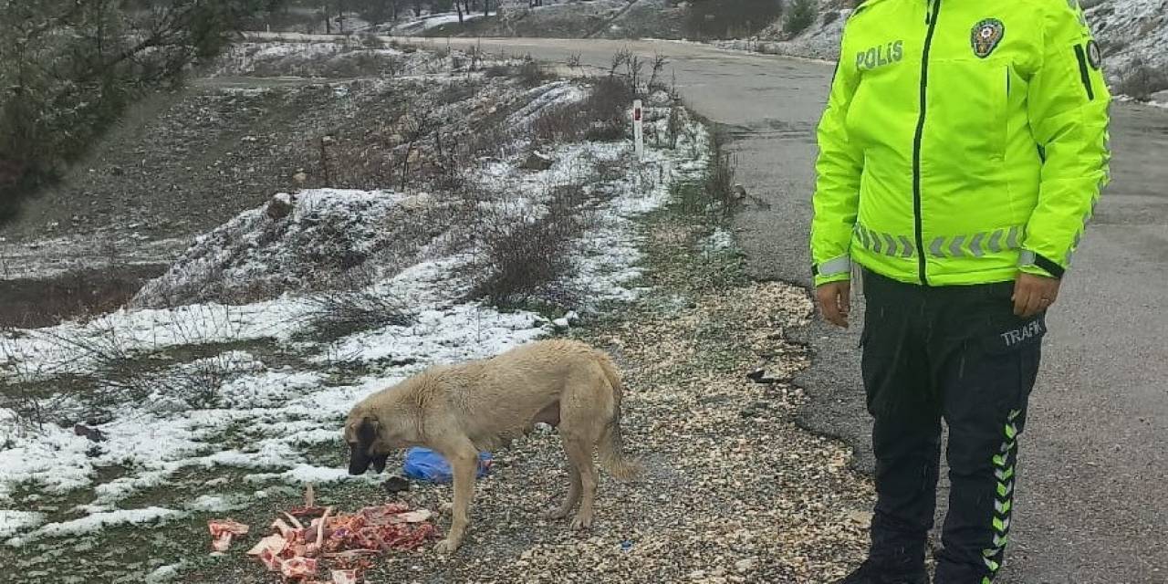Trafik Polisleri Sokak Hayvanlarını Besledi