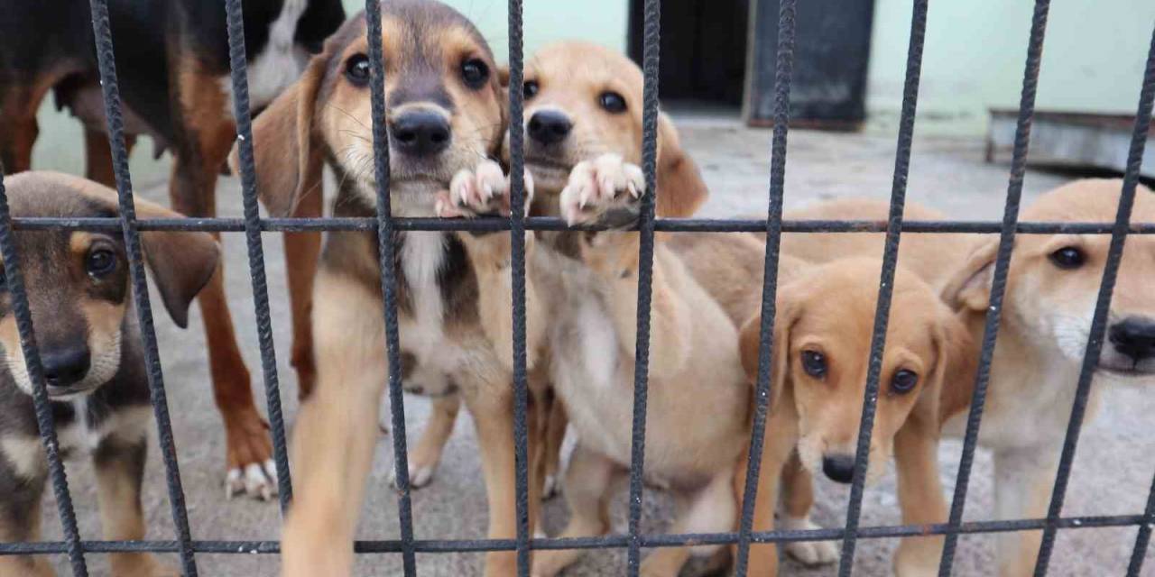 İhbarlara Öncelik Veriyoruz