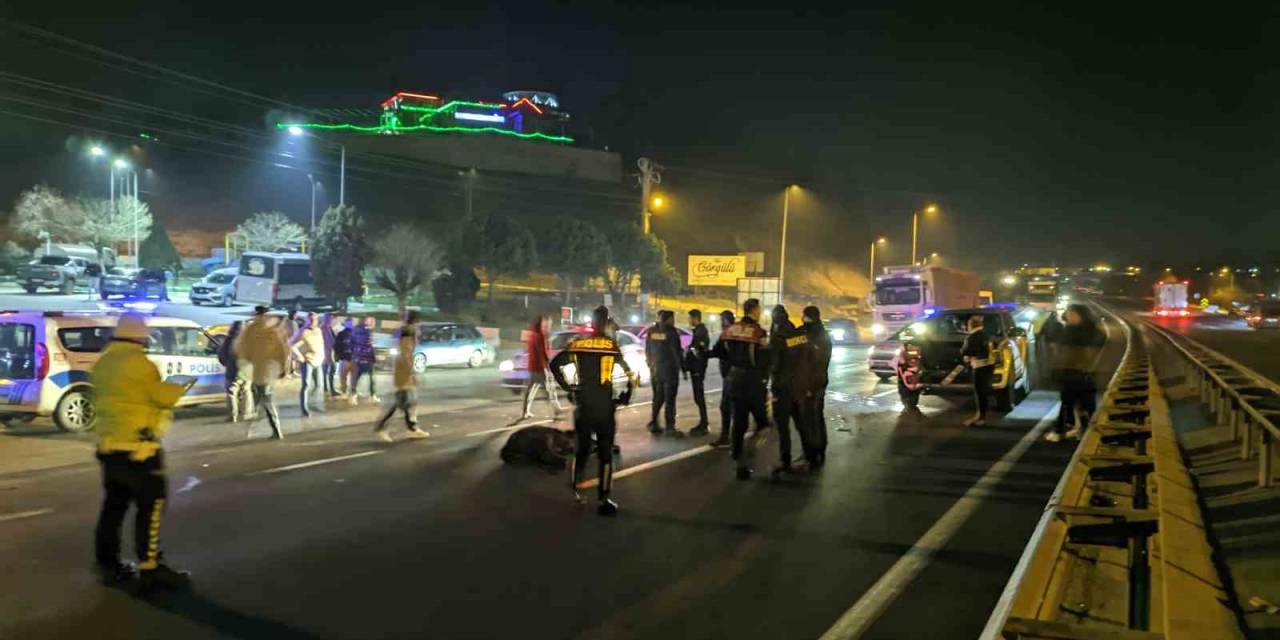 Aniden Yola Fırlayan Başıboş İnek Ve Buzağıya Kamyonet Çarptı