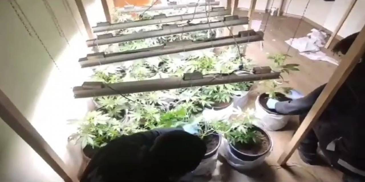 Tekirdağ’da Uyuşturucu Operasyonu: Esrar Ve Hint Keneviri Ele Geçirildi