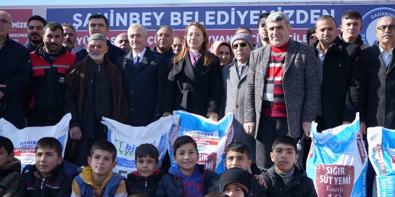 Şahinbey’den Hayvan Yetiştiricilerine 7 Bin Ton Yem Desteği