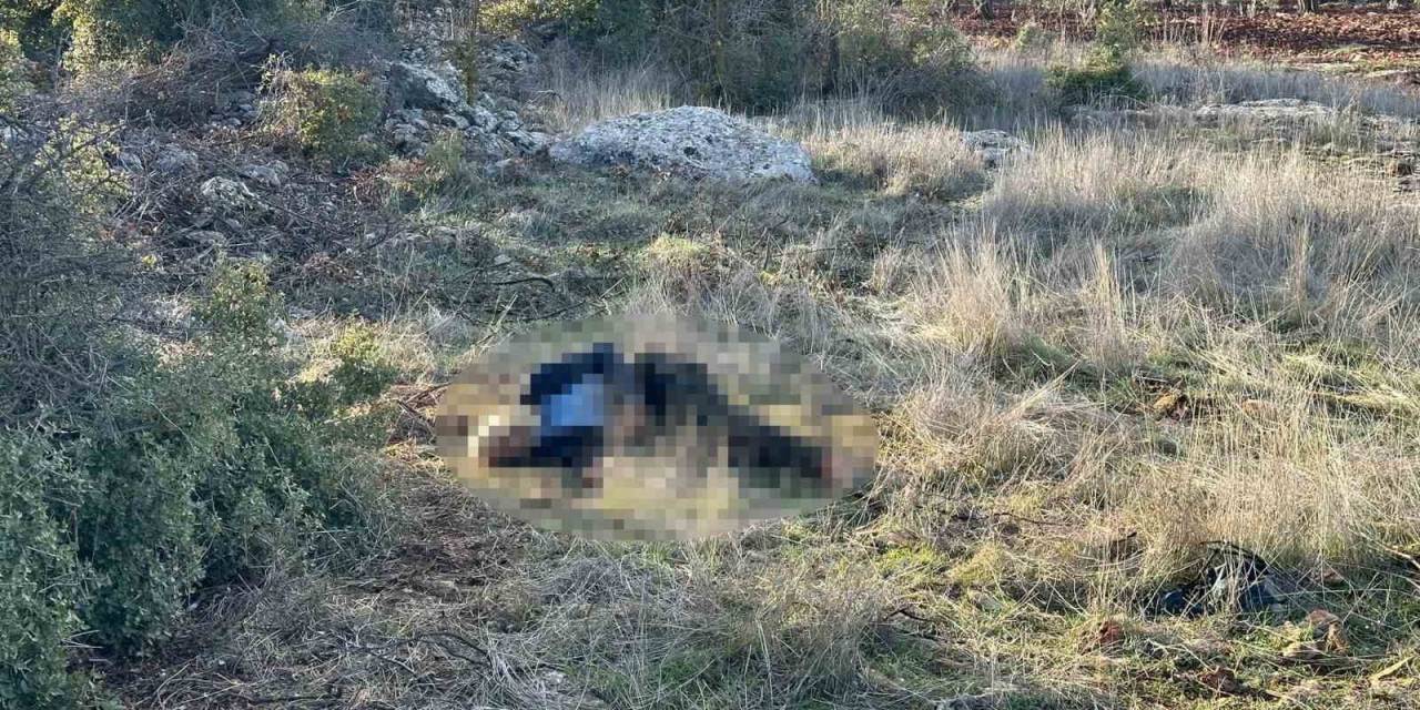 Kilis’te Alzaymır Hastası Yaşlı Adam Ölü Bulundu