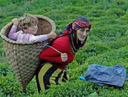 Doğu Karadeniz Nüfusunun Yüzde 50,2’sini Kadın Nüfusu Oluşturuyor