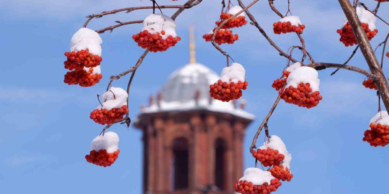 Erzurum’da Termometreler -21 Dereceyi Gördü