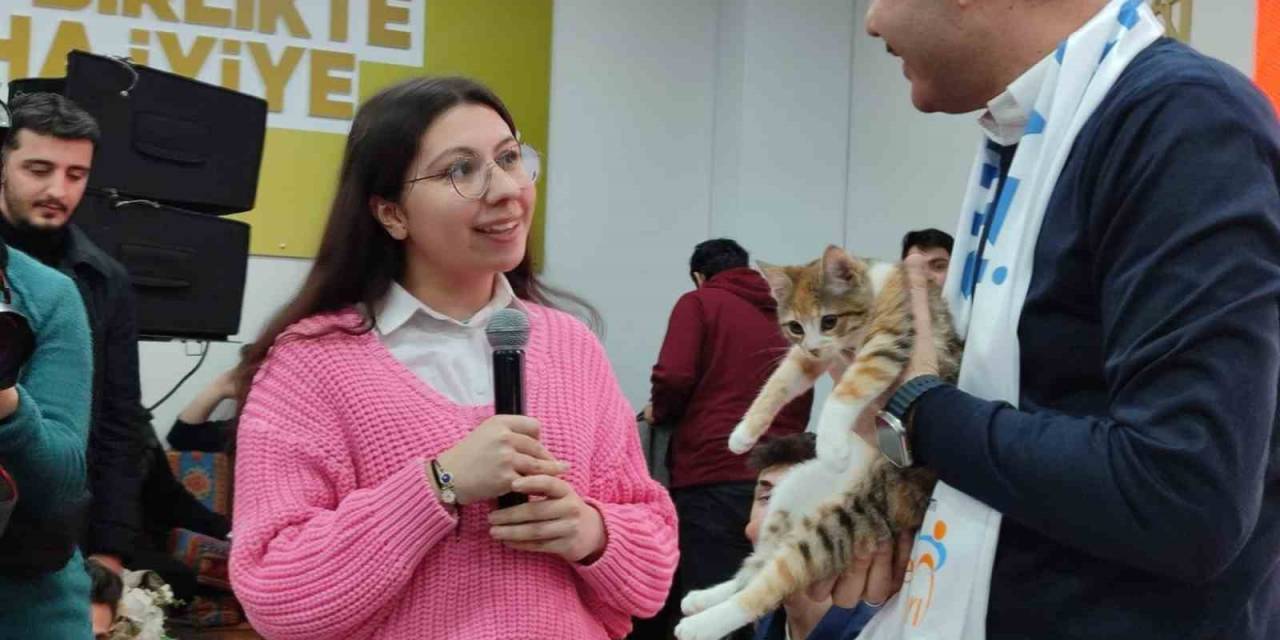 İbb Başkan Adayı Murat Kurum’a Kedi Hediyesi