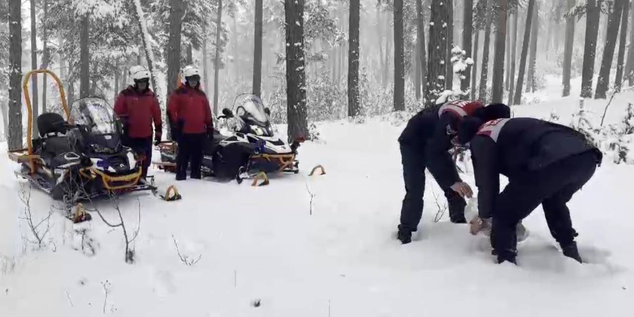 Kars’ta Jandarma Yaban Hayvanlarına Yiyecek Bıraktı