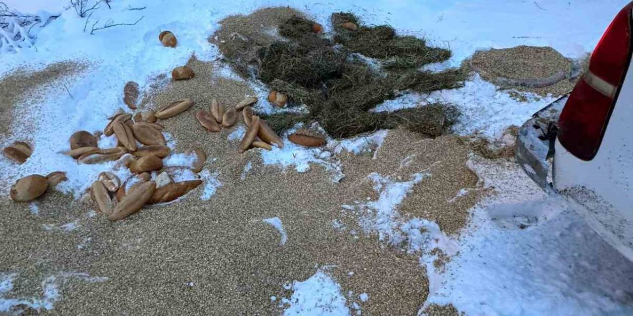 Yiyecek Bulamayan Yaban Hayvanlarına Vatandaştan Yardım Eli