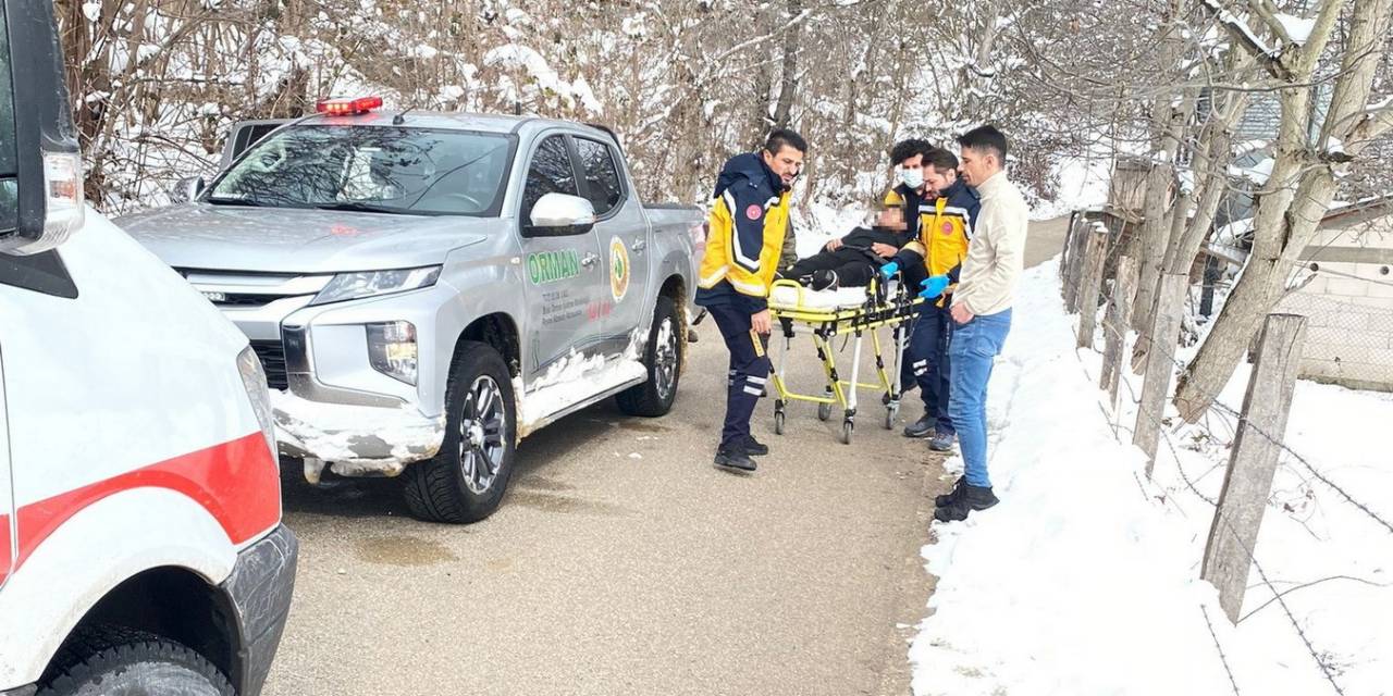 Ormancıların Dikkati Hayat Kurtardı