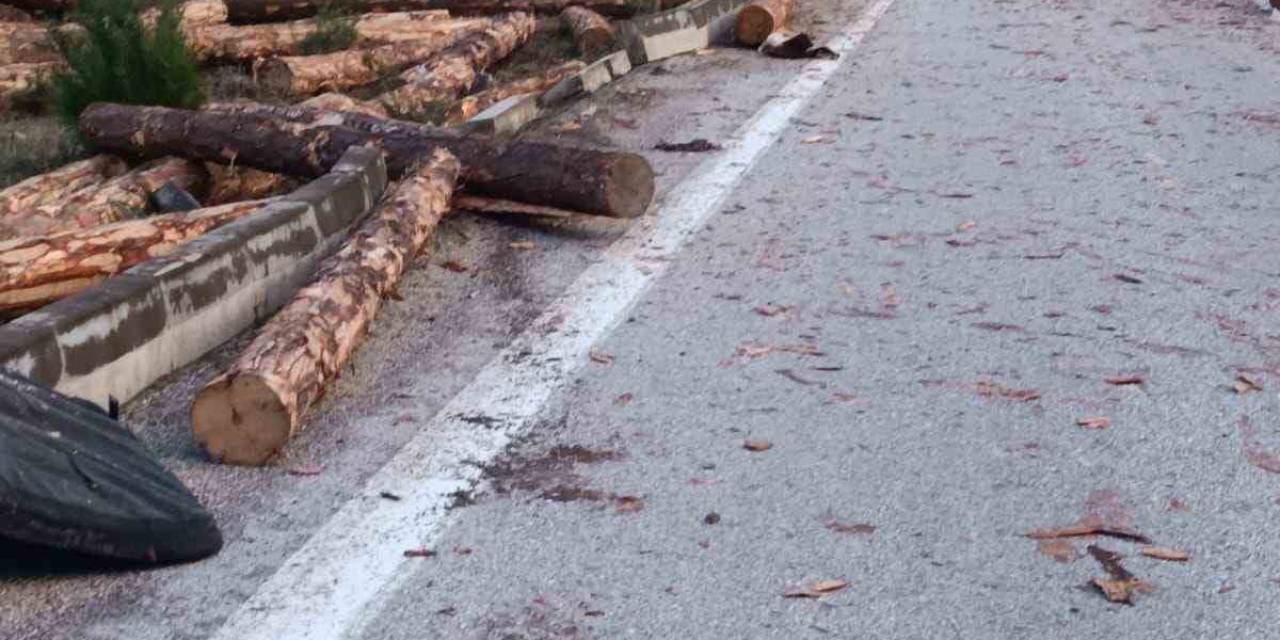 Tomruk Yüklü Kamyon Kaza Yaptı: 1 Ölü