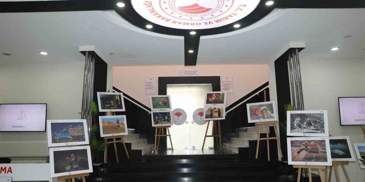 Diyarbakır’da 13. Tarım Ve İnsan Fotoğraf Sergisi Başladı