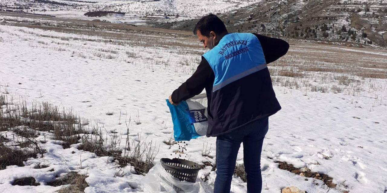 Battalgazi’de Sokak Hayvanlara Yem Bırakıldı