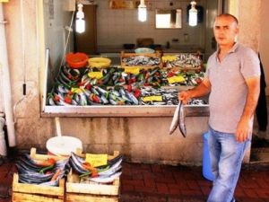 Bartın’da Balık Bereketi