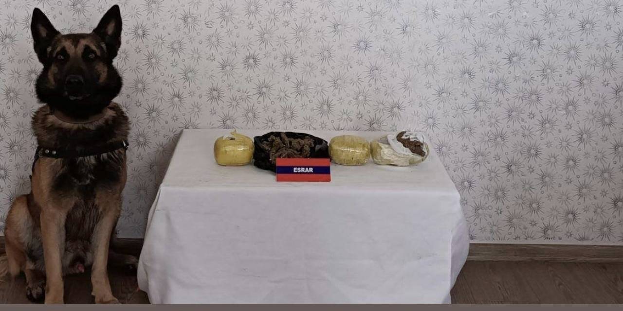 Bebek Maması Kutusundan Uyuşturucu Çıktı