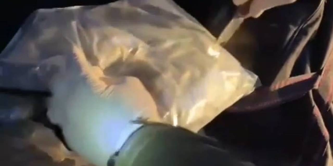 Malatya’da 31 Kilo 950 Gram Skunk Maddesi Ele Geçirildi