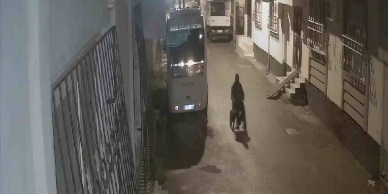 En Vicdansız Hırsız