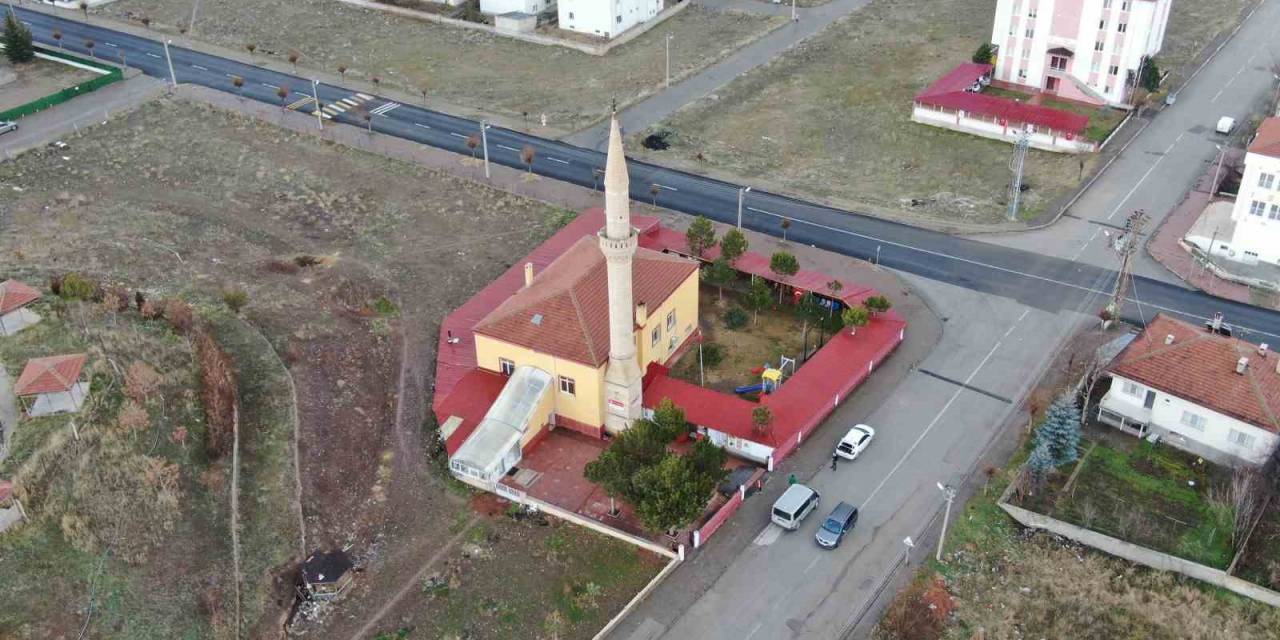 Ağaçlar Kesilmedi Ortaya İlginç Görüntüler Çıktı