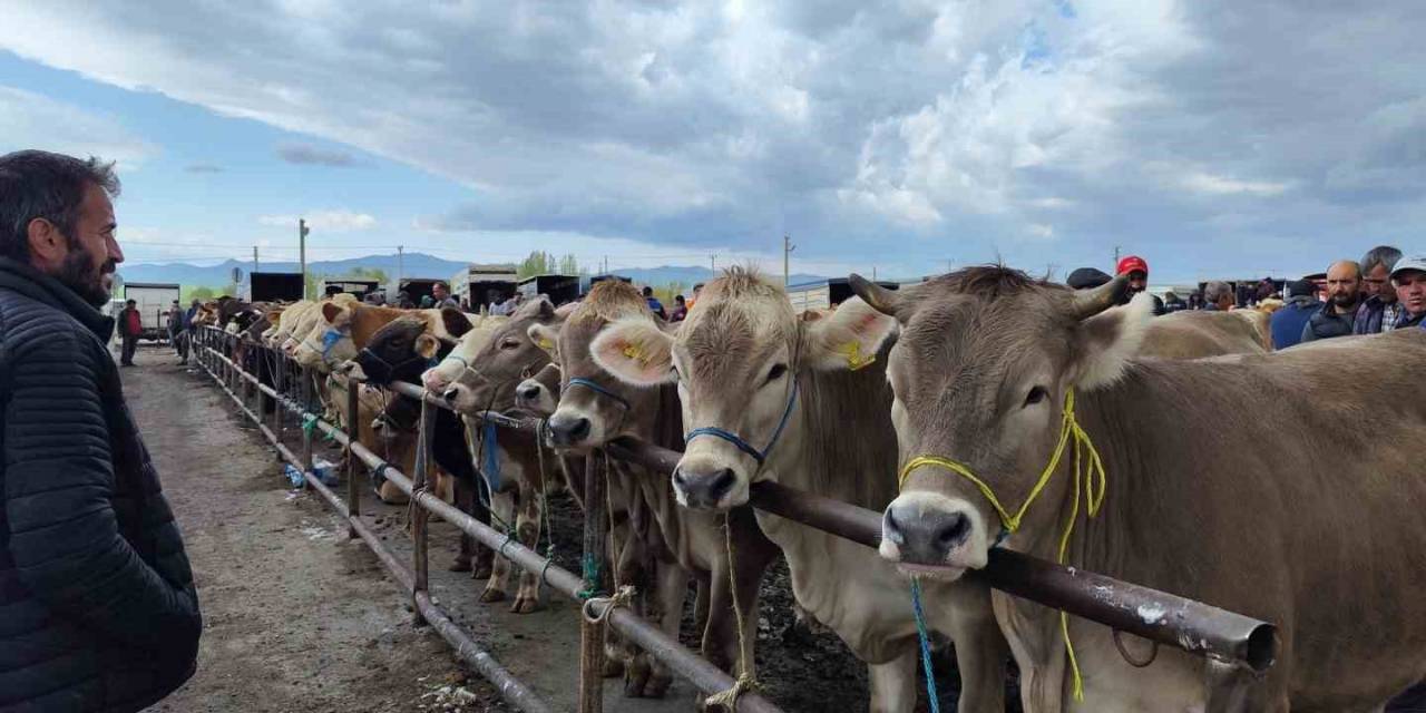 Uzmanı Uyardı, O Hastalık Ağızda Oluşan Lezyonlarla Kendini Gösteriyor