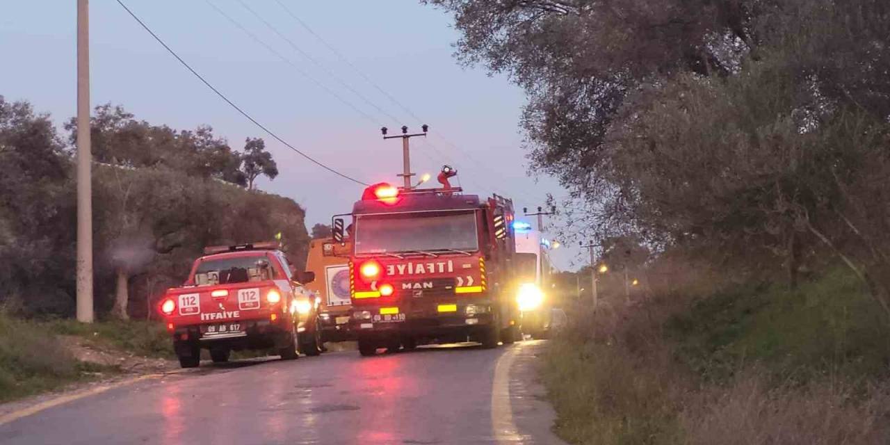 Ayağı Taşa Takılınca Uçuruma Yuvarlandı