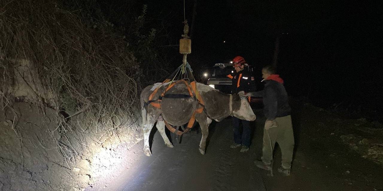 Dere Yatağında Mahsur Kalan İnek Vinçle Kurtarıldı