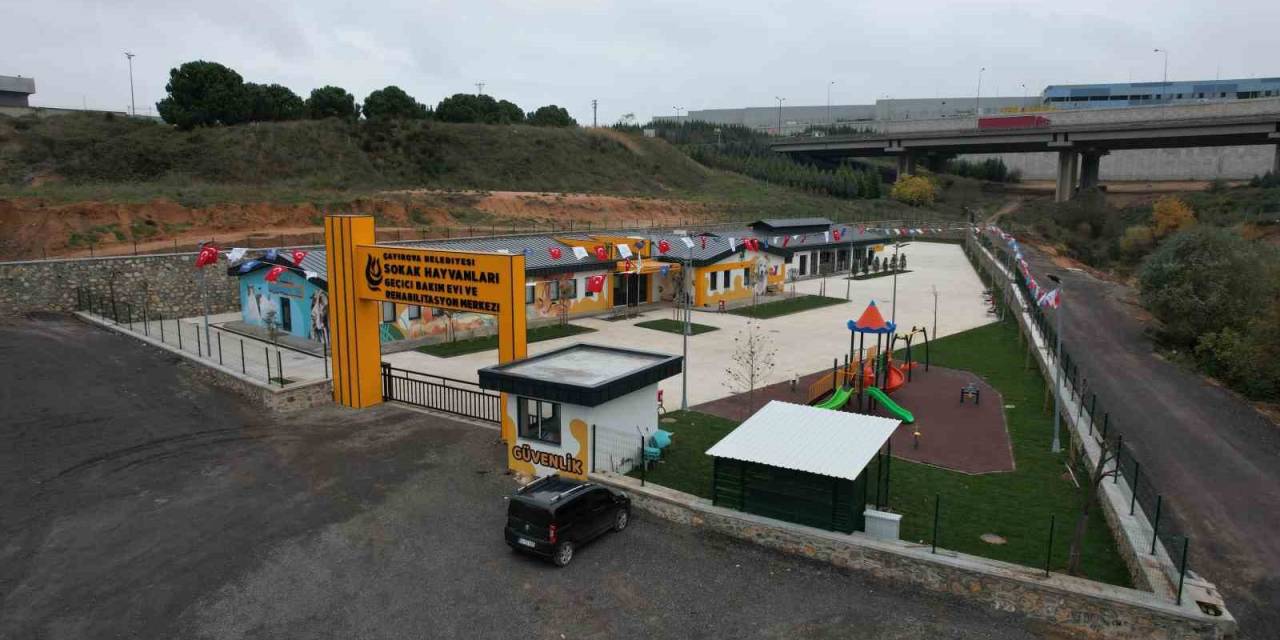 Bu Merkez Sokak Hayvanlarına "Şifa" Oluyor