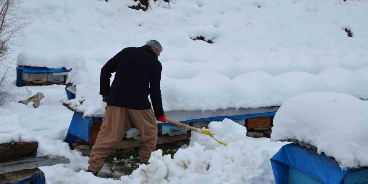 Beytüşşebap’ta Arıcılar Arılarını Kardan Korumaya Çalışıyor