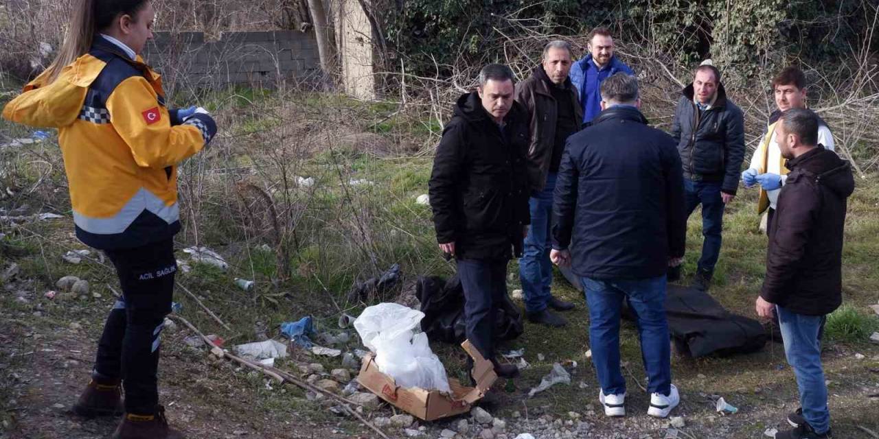 Odun Keserken Hayatını Kaybetti