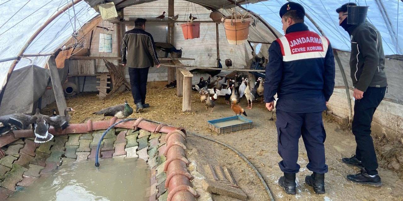 Aksaray’da Yaban Hayvanı Ticaretine 78 Bin 650 Tl Ceza