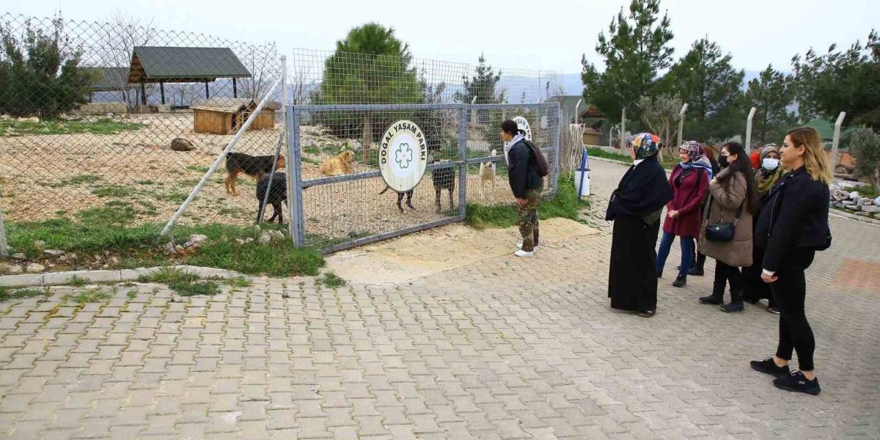 Büyükşehir Geçici Hayvan Bakımevi’ne Ziyaretçi Akını