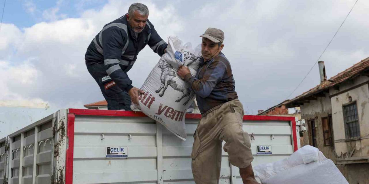 Büyükşehir’den Üreticiye Yem Desteği