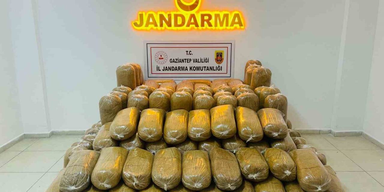 Gaziantep’te 2 Ton Kaçak Tütün Ele Geçirildi