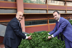 Türkiye’nin Yeni Çayı: ‘Butka’