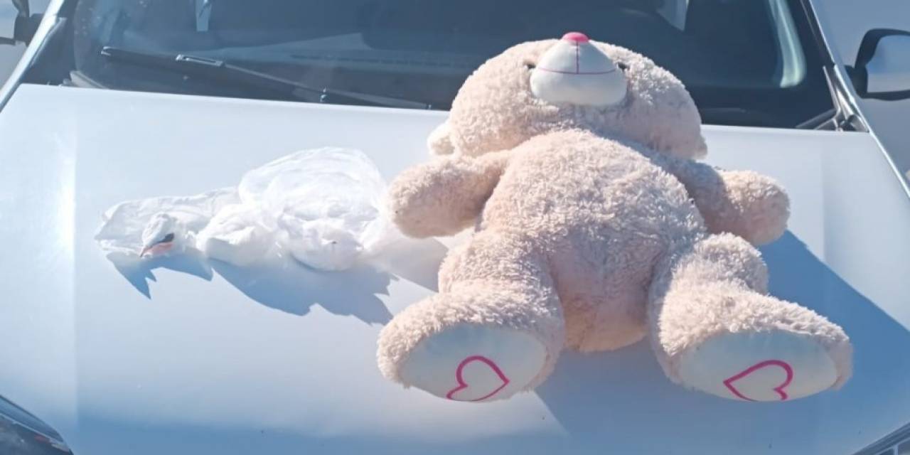 Uşak’ta Oyuncak Ayı İçinde Kokain Çıktı