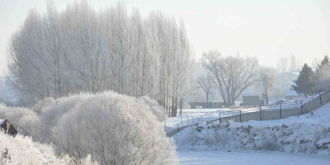 Kars Dondu, Ağaçlar Kırağı Tuttu