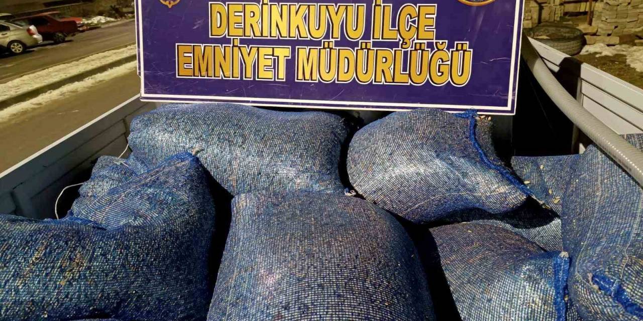 Bir Garip Hırsızlık: Çekirdek Hırsızı Ekiplerden Kaçamadı