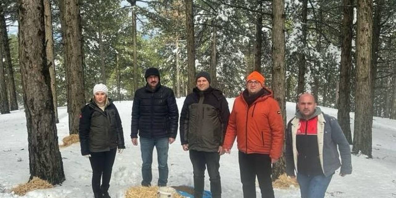 Kazdağları’nda Kar Yağışı Ve Aşırı Soğuk Nedeniyle Yaban Hayvanları İçin Yem Bırakıldı