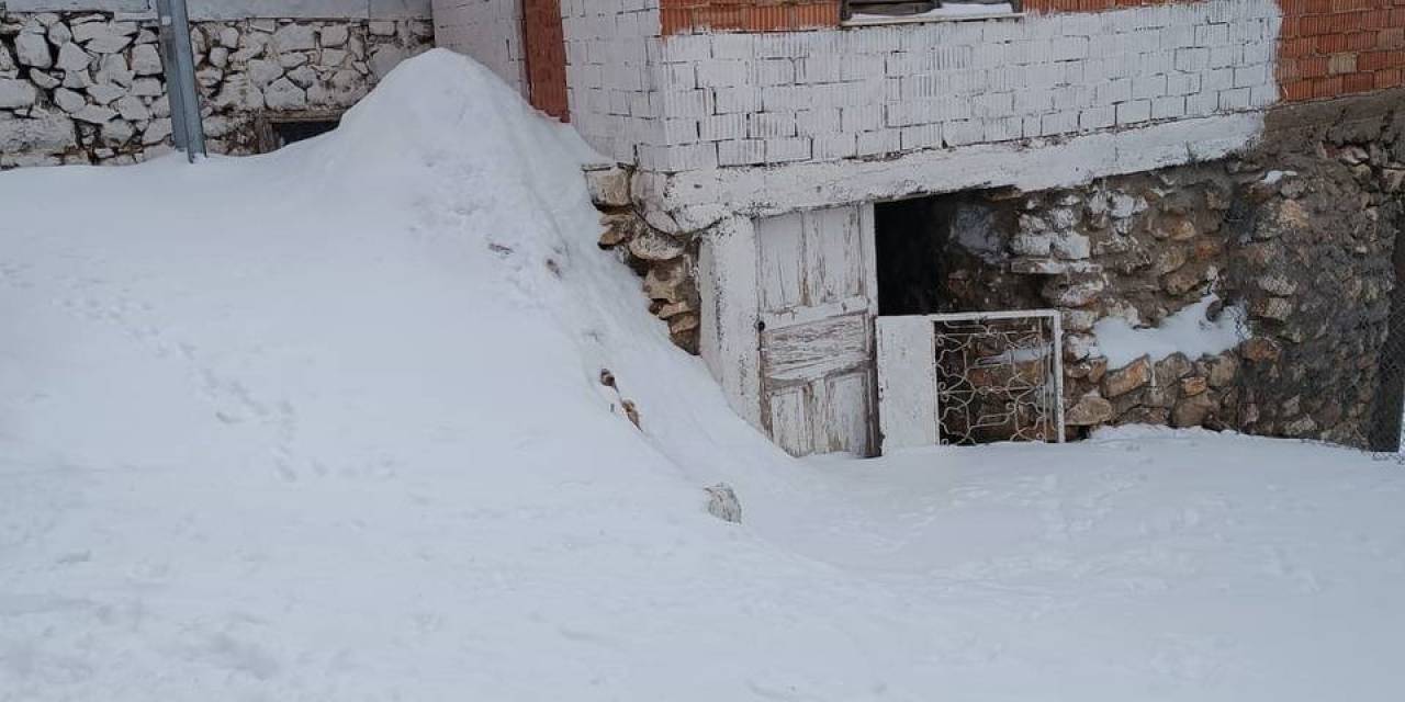 207 Seçmenin Bulunduğu Köyde Yalnızca 3 Kişi Yaşıyor