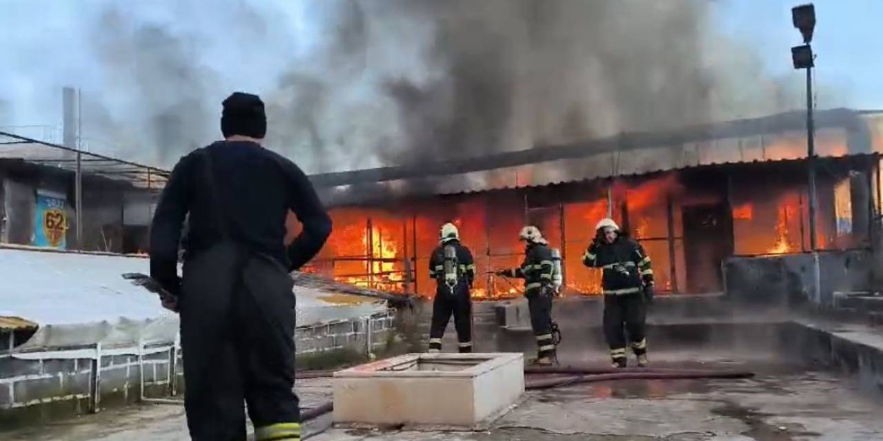 Diyarbakır’da 2 Milyon Tl Değerindeki 600 Güvercin Alevler İçinde Telef Oldu