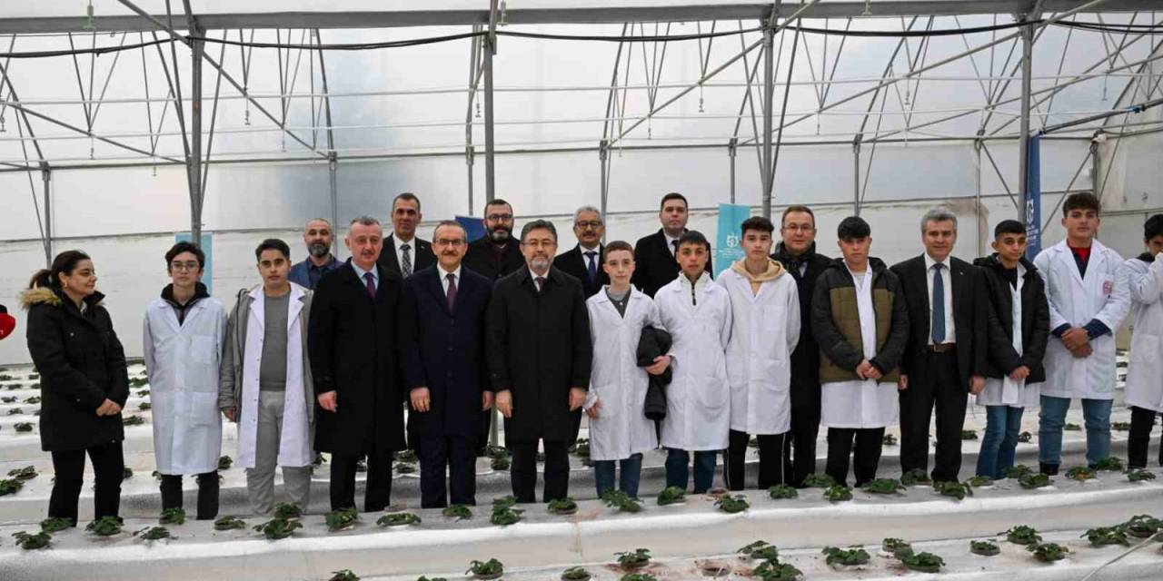 Bu Serada 12 Ay Boyunca Hasat Mümkün