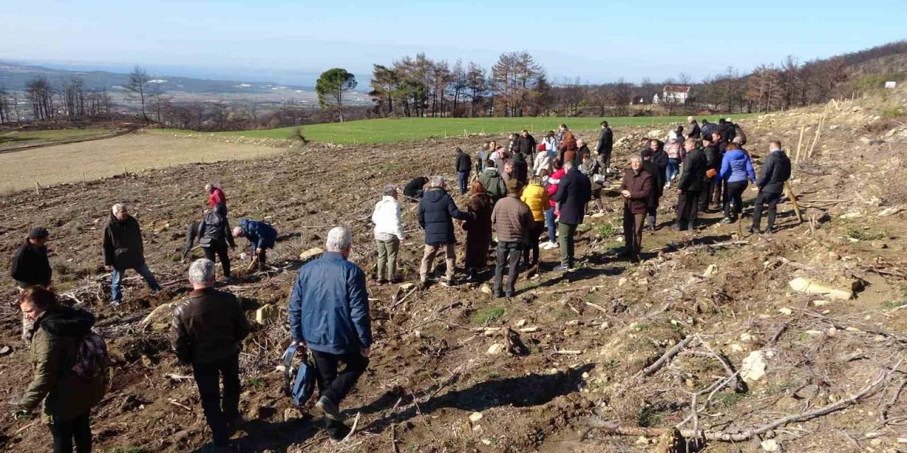 Genç Avukatın Adı Hatıra Ormanında Yaşayacak