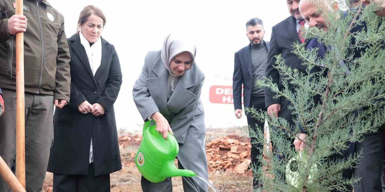 Bakan Göktaş Deprem Şehitleri Adına Fidan Dikti