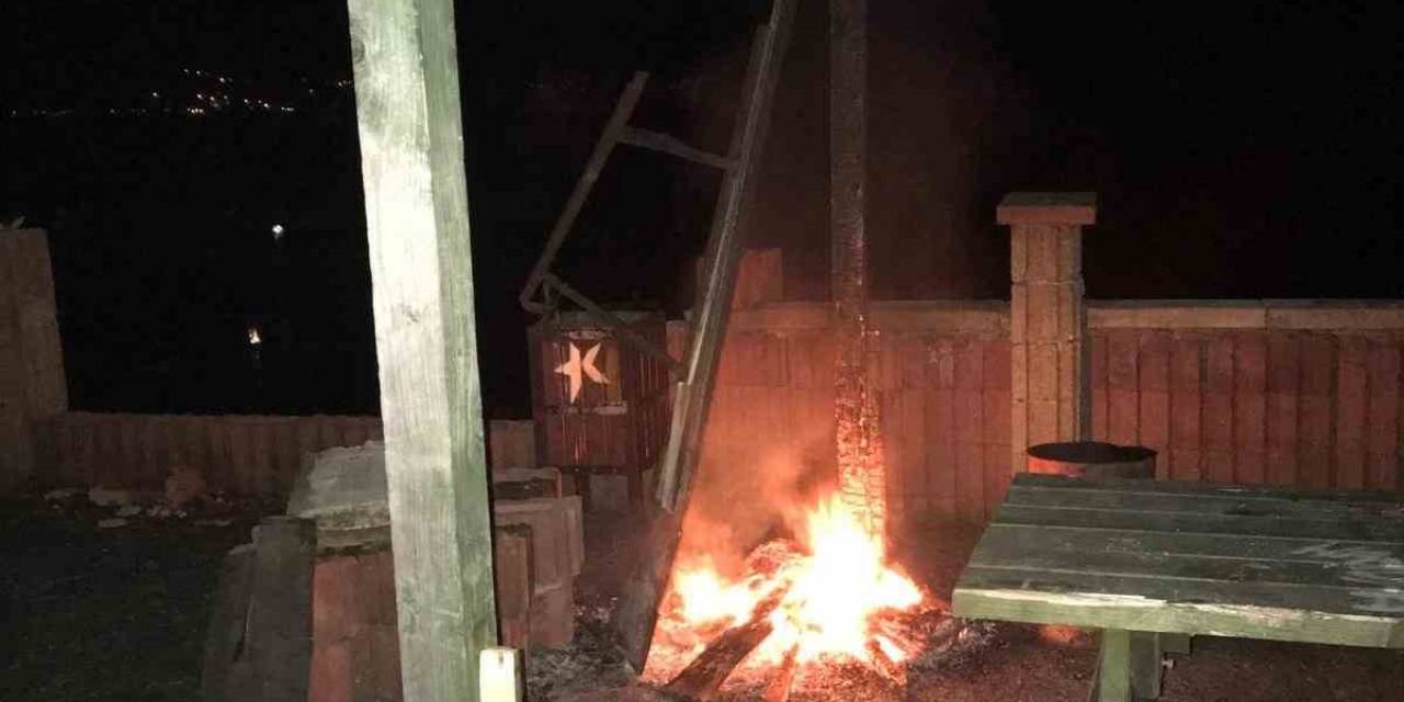 Sosyal Medyada Etkileşim Alabilmek İçin Kamelyayı Ateşe Verdiler