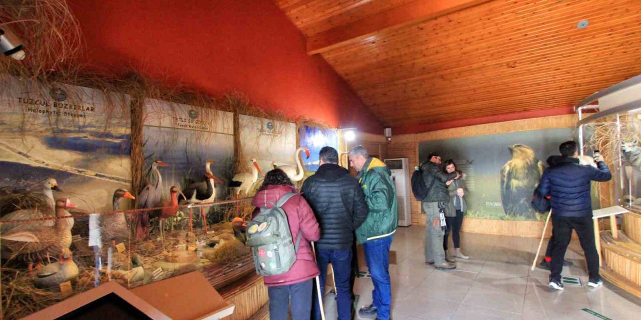 Tema Vakfı’ndan Sultan Sazlığı Milli Parkı Ziyareti