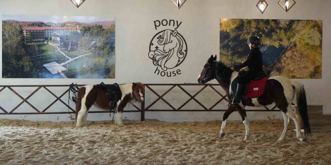 Herkes Bu Şehri Merak Ediyor, Oteller Talebi Bakın Nasıl Karşılıyor