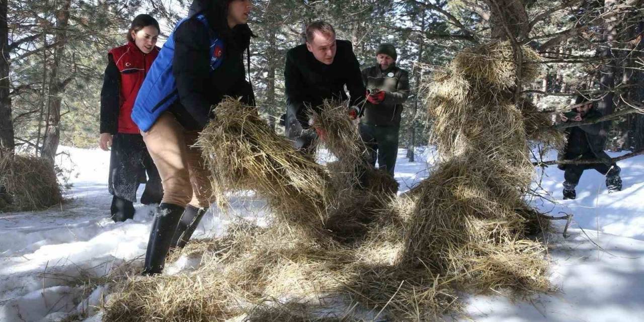 Ardahan’da Yaban Hayvanları İçin Doğaya Yem Bırakıldı