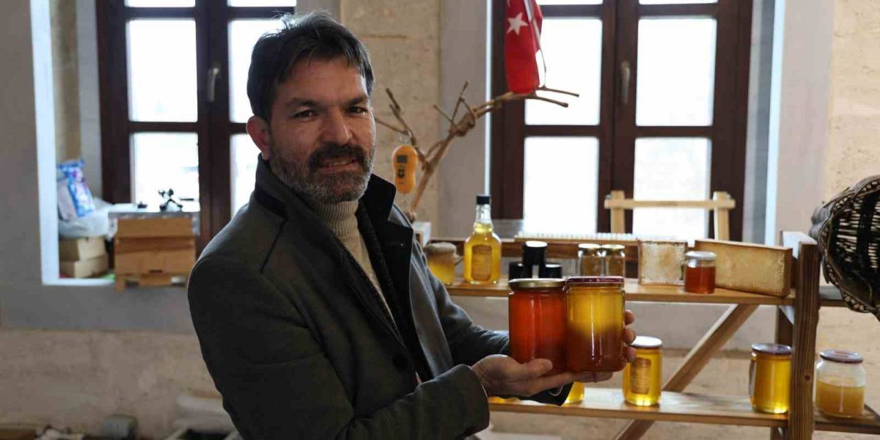 Arılar Geçen Yıla Oranla Yüzde 50 Verim Düşürdü