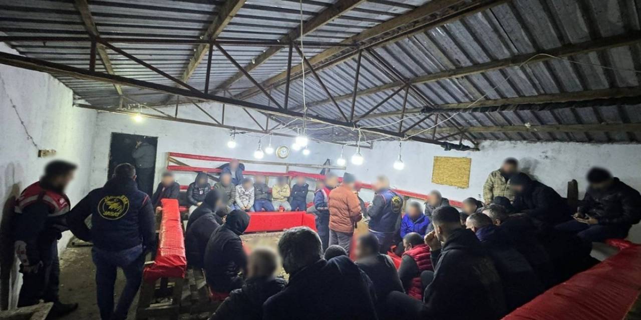 Horoz Dövüşüne Jandarma Baskını